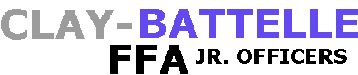 ffa_title